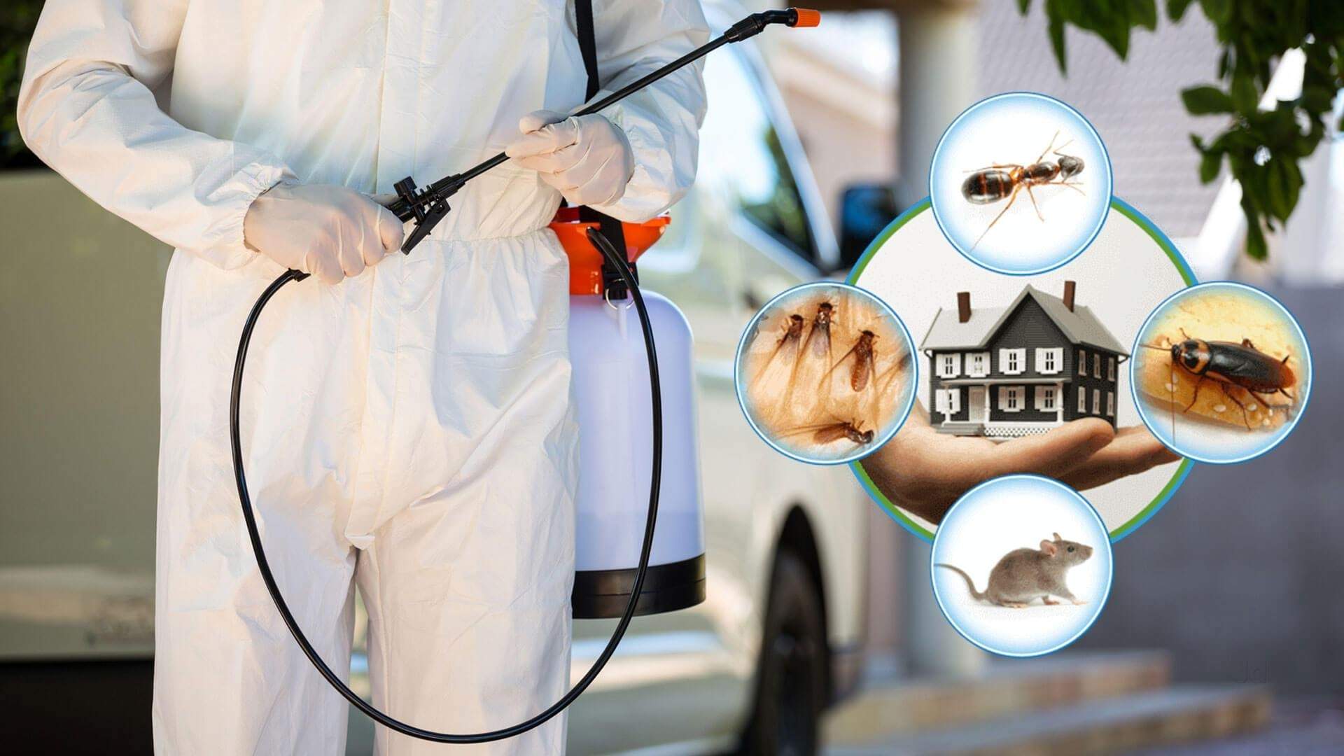 We are Providing the best Pest Control Services | - Nayakam